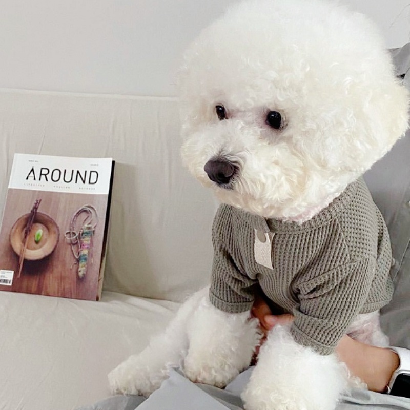 Summer Pet Shirt Solid Dog T-S - Summer Dog Clothing recension och pris